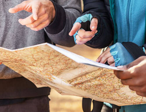 When Fear Pulls You in Opposite Directions